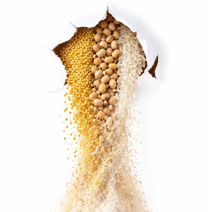 Millet, soya and rice grains pouring into fine flour